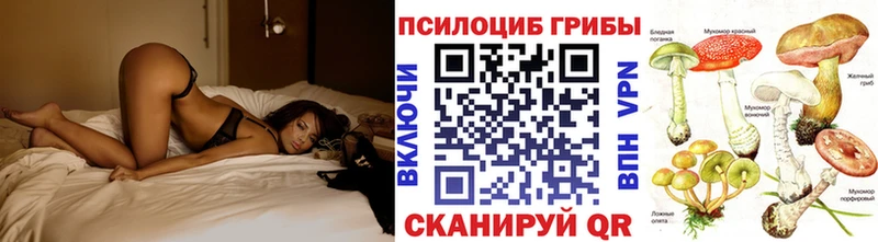 Купить  Белгород  Псилоцибиновые грибы MAGIC MUSHROOMS 